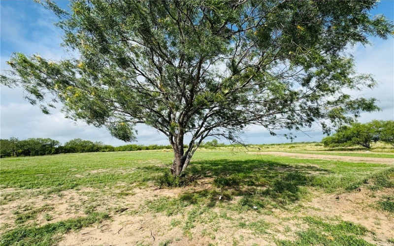 157 County Road 150, Alice, TX 78332, 3 Bedrooms Bedrooms, ,2 BathroomsBathrooms,Residential,For Sale,157 County Road 150,460946