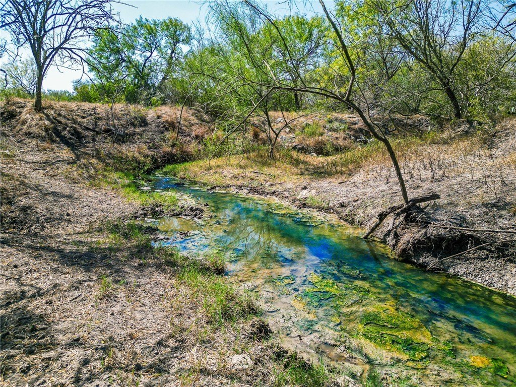 3189-3251 County Road 407, Karnes City, TX 78113, ,Farm,For Sale,3189-3251 County Road 407,450932