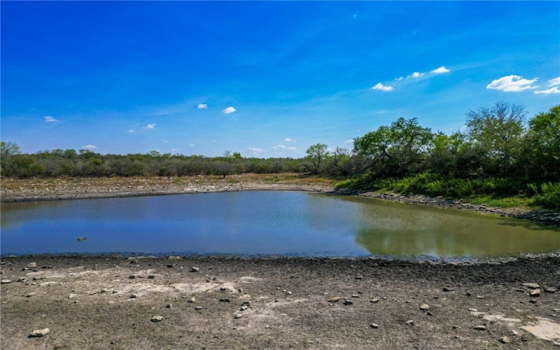 3189-3251 County Road 407, Karnes City, TX 78113, ,Farm,For Sale,3189-3251 County Road 407,450932