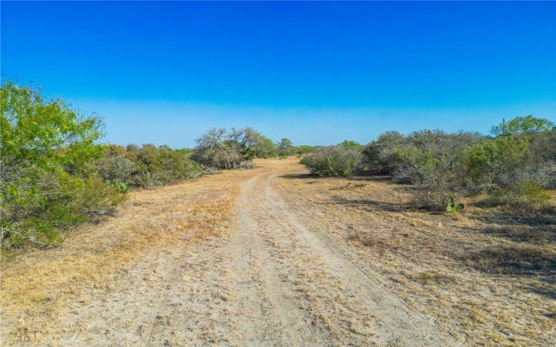 3189-3251 County Road 407, Karnes City, TX 78113, ,Farm,For Sale,3189-3251 County Road 407,450932