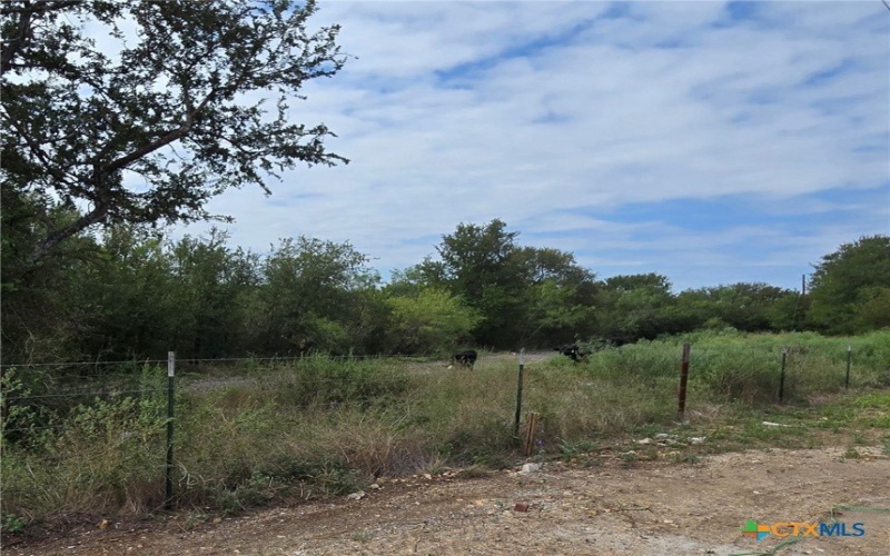 1417 Fossil Trail, Belton, TX 76513, 5 Bedrooms Bedrooms, ,2 BathroomsBathrooms,Residential,For Sale,1417 Fossil Trail,0,584144