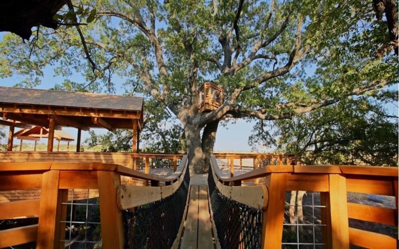 1805 Tree House Trail, Mesquite, TX 75181, 4 Bedrooms Bedrooms, ,2 BathroomsBathrooms,Residential,For Sale,1805 Tree House Trail,20919354