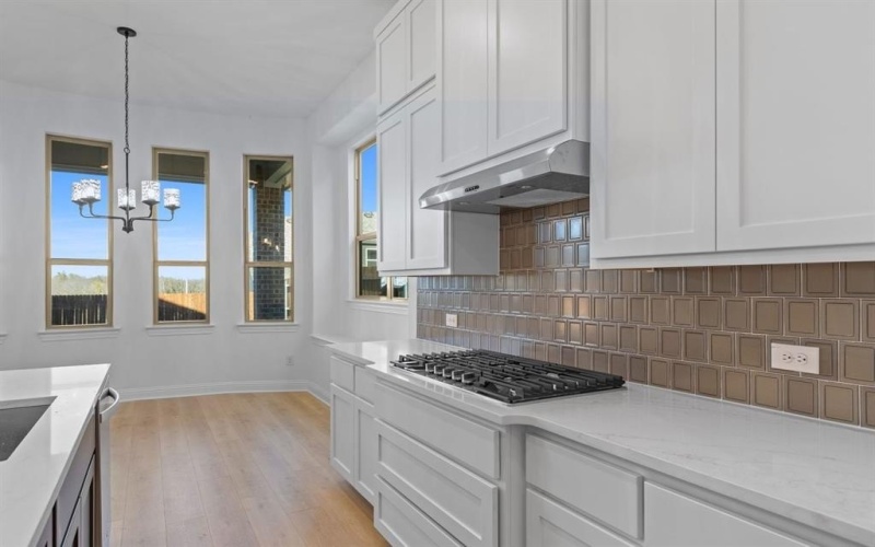 905 Mumms Field Drive, Fort Worth, TX 76247, 3 Bedrooms Bedrooms, ,2 BathroomsBathrooms,Residential,For Sale,905 Mumms Field Drive,0,20978629