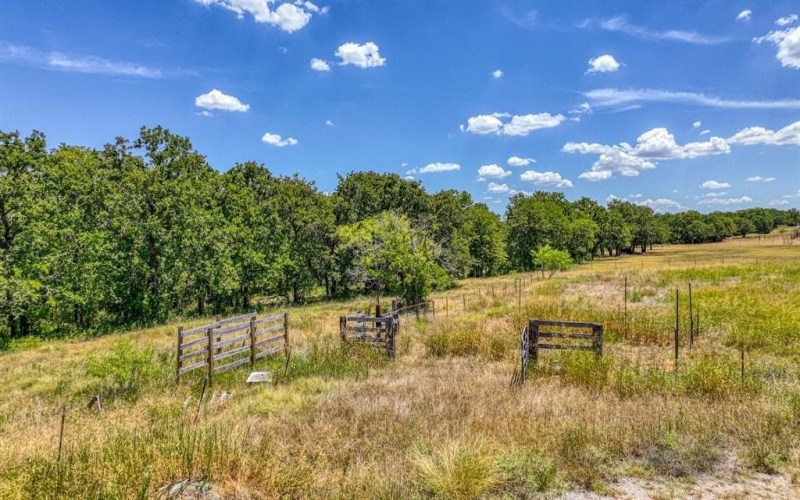 Carraway County Road 3451, Paradise, TX 76073, 3 Bedrooms Bedrooms, ,2 BathroomsBathrooms,Residential,For Sale,Carraway County Road 3451,20979835