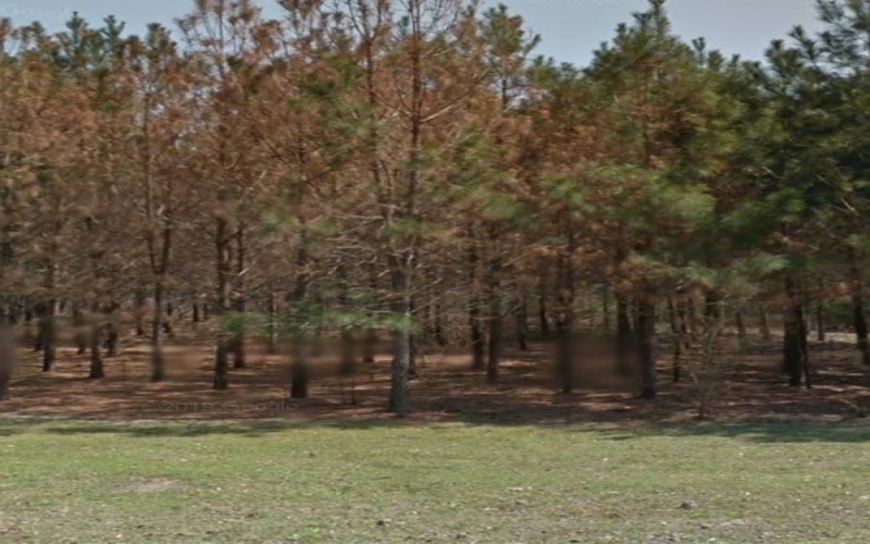 106 Evergreen Lane, Lufkin, TX 75904, 3 Bedrooms Bedrooms, ,2 BathroomsBathrooms,Residential,For Sale,106 Evergreen Lane,5105356