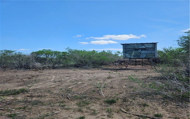 CR 104/Toro Rd, San Diego, TX 78384, 1 Bedroom Bedrooms, ,1 BathroomBathrooms,Farm,For Sale,CR 104/Toro Rd,458061