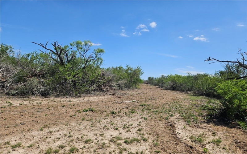 CR 104/Toro Rd, San Diego, TX 78384, 1 Bedroom Bedrooms, ,1 BathroomBathrooms,Farm,For Sale,CR 104/Toro Rd,458061