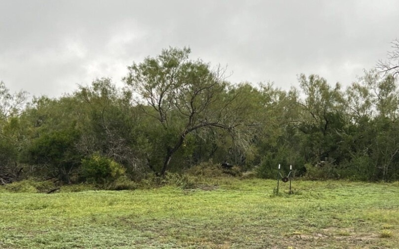 CR 104/Toro Rd, San Diego, TX 78384, 1 Bedroom Bedrooms, ,1 BathroomBathrooms,Farm,For Sale,CR 104/Toro Rd,458061