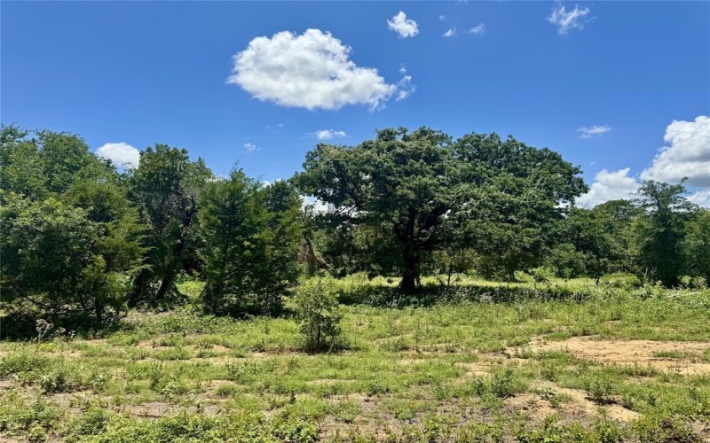 4017 County Road 310, Cleburne, TX 76031, 4 Bedrooms Bedrooms, ,2 BathroomsBathrooms,Residential,For Sale,4017 County Road 310,20979482