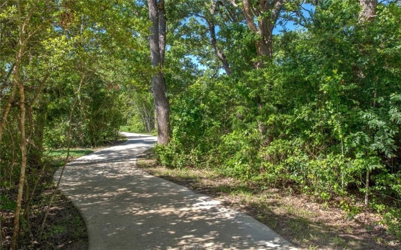 3540 Anderson Arbor Court, College Station, TX 77845, 4 Habitaciones Habitaciones , ,5 BañosBaños,Residential,En Venta,3540 Anderson Arbor Court,25007336