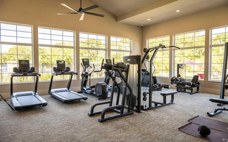 3540 Anderson Arbor Court, College Station, TX 77845, 4 Habitaciones Habitaciones , ,5 BañosBaños,Residential,En Venta,3540 Anderson Arbor Court,25007336