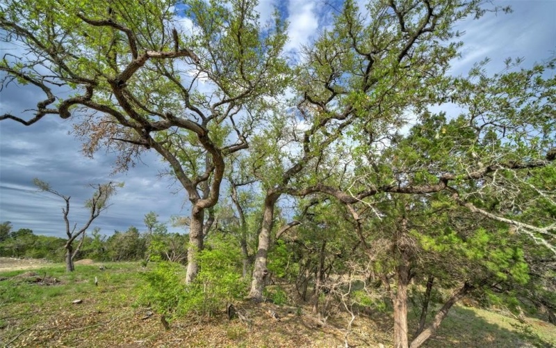 Tbd Jim Bridger Drive, Austin, TX 78737, 4 Habitaciones Habitaciones , ,5 BañosBaños,Residential,En Venta,Tbd Jim Bridger Drive,20983368