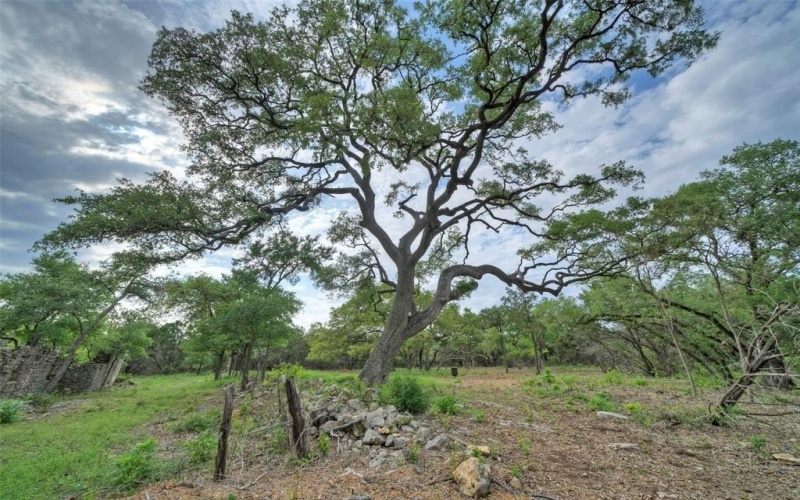 Tbd Jim Bridger Drive, Austin, TX 78737, 4 Habitaciones Habitaciones , ,5 BañosBaños,Residential,En Venta,Tbd Jim Bridger Drive,20983368