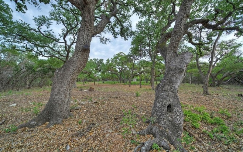 Tbd Jim Bridger Drive, Austin, TX 78737, 4 Habitaciones Habitaciones , ,5 BañosBaños,Residential,En Venta,Tbd Jim Bridger Drive,20983368