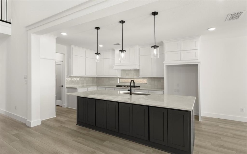 15004 Pizarro Court, Little Elm, TX 75068, 5 Bedrooms Bedrooms, ,5 BathroomsBathrooms,Residential,For Sale,15004 Pizarro Court,0,20984532