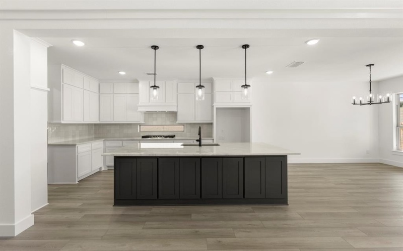 15004 Pizarro Court, Little Elm, TX 75068, 5 Bedrooms Bedrooms, ,5 BathroomsBathrooms,Residential,For Sale,15004 Pizarro Court,0,20984532