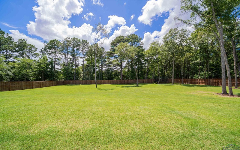 125 Thorn Briar, Longview, TX 75602, 4 Bedrooms Bedrooms, ,3 BathroomsBathrooms,Residential,For Sale,125 Thorn Briar,20254546