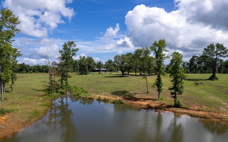 TBD An County Road 153, PALESTINE, TX 75801, 3 Habitaciones Habitaciones , ,2 BañosBaños,Residential,En Venta,TBD An County Road 153,101299