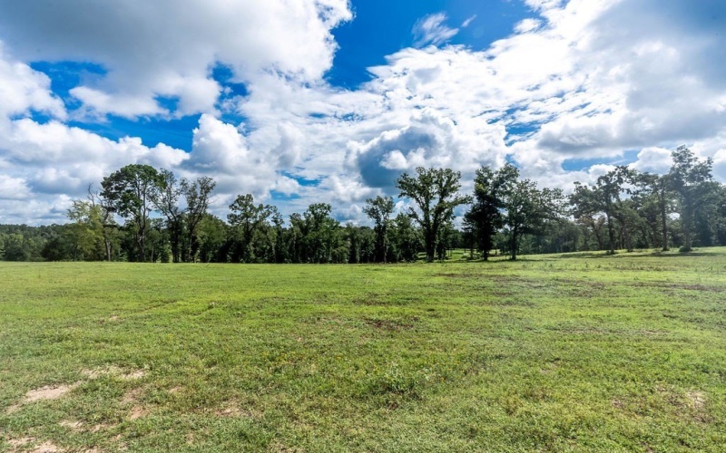 TBD An County Road 153, PALESTINE, TX 75801, 3 Habitaciones Habitaciones , ,2 BañosBaños,Residential,En Venta,TBD An County Road 153,101299