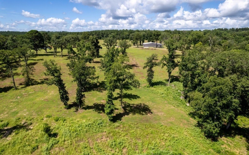 TBD An County Road 153, PALESTINE, TX 75801, 3 Habitaciones Habitaciones , ,2 BañosBaños,Residential,En Venta,TBD An County Road 153,101299