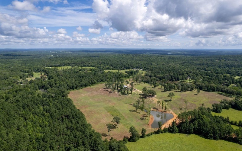 TBD An County Road 153, PALESTINE, TX 75801, 3 Habitaciones Habitaciones , ,2 BañosBaños,Residential,En Venta,TBD An County Road 153,101299