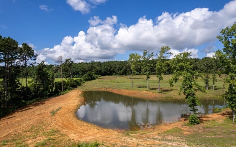 TBD An County Road 153, PALESTINE, TX 75801, 3 Habitaciones Habitaciones , ,2 BañosBaños,Residential,En Venta,TBD An County Road 153,101299