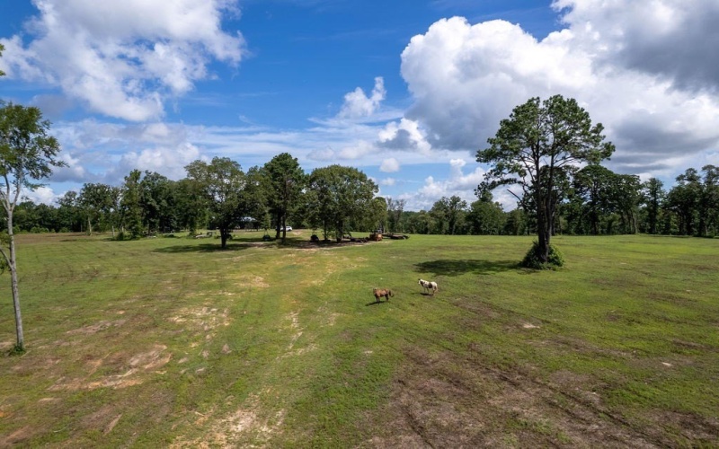TBD An County Road 153, PALESTINE, TX 75801, 3 Habitaciones Habitaciones , ,2 BañosBaños,Residential,En Venta,TBD An County Road 153,101299