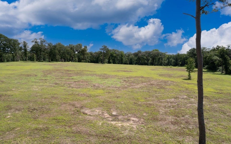 TBD An County Road 153, PALESTINE, TX 75801, 3 Habitaciones Habitaciones , ,2 BañosBaños,Residential,En Venta,TBD An County Road 153,101299