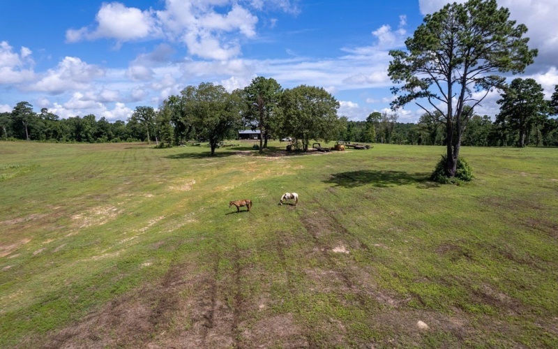 TBD An County Road 153, PALESTINE, TX 75801, 3 Habitaciones Habitaciones , ,2 BañosBaños,Residential,En Venta,TBD An County Road 153,101299