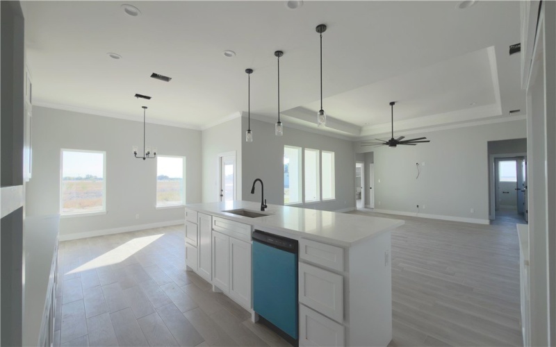 4710 Pinot Noir Court, Robstown, TX 78380, 4 Habitaciones Habitaciones , ,3 BañosBaños,Residential,En Venta,4710 Pinot Noir Court,0,461421