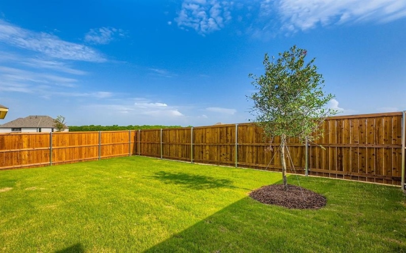 821 Trailing Vine Way, Lavon, TX 75166, 3 Habitaciones Habitaciones , ,3 BañosBaños,Residential,En Venta,821 Trailing Vine Way,20986727