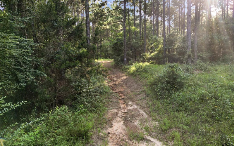 TBD 17.57 ACRES FM 2274, Troup, TX 75789, 1 Dormitorio Habitaciones , ,1 BañoBaños,Granja,En Venta,TBD 17.57 ACRES FM 2274,25010072