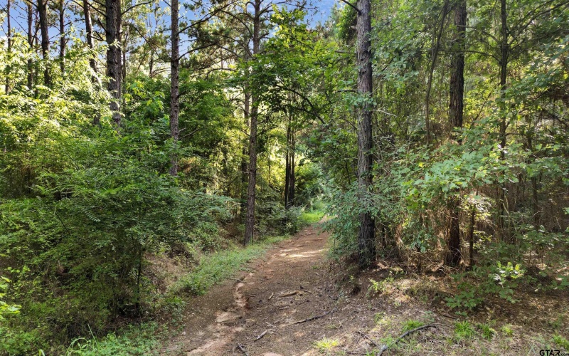 TBD 17.57 ACRES FM 2274, Troup, TX 75789, 1 Dormitorio Habitaciones , ,1 BañoBaños,Granja,En Venta,TBD 17.57 ACRES FM 2274,25010072