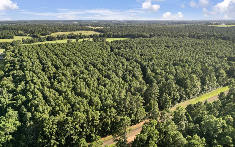 TBD 17.57 ACRES FM 2274, Troup, TX 75789, 1 Dormitorio Habitaciones , ,1 BañoBaños,Granja,En Venta,TBD 17.57 ACRES FM 2274,25010072