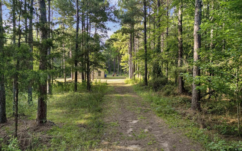 TBD 34.57 ACRES FM 2274, Troup, TX 75789, 1 Dormitorio Habitaciones , ,1 BañoBaños,Granja,En Venta,TBD 34.57 ACRES FM 2274,25010079
