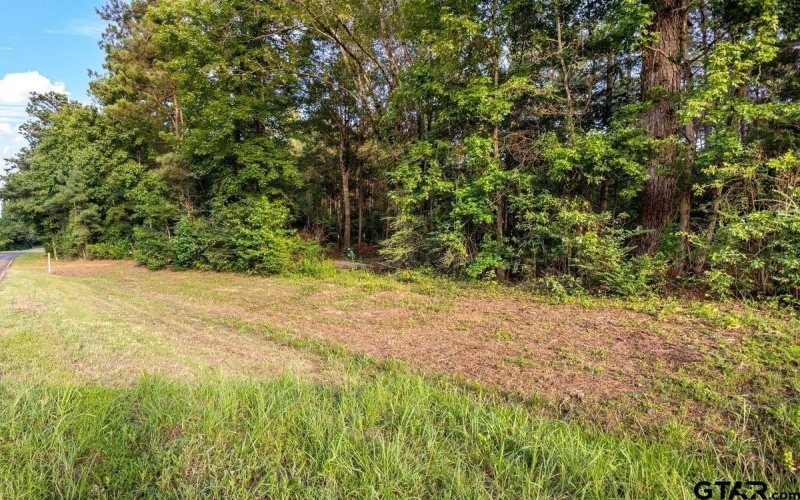 TBD 34.57 ACRES FM 2274, Troup, TX 75789, 1 Dormitorio Habitaciones , ,1 BañoBaños,Granja,En Venta,TBD 34.57 ACRES FM 2274,25010079