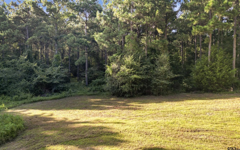 TBD 34.57 ACRES FM 2274, Troup, TX 75789, 1 Dormitorio Habitaciones , ,1 BañoBaños,Granja,En Venta,TBD 34.57 ACRES FM 2274,25010079