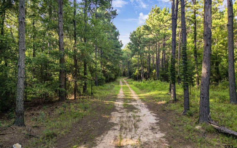 TBD 34.57 ACRES FM 2274, Troup, TX 75789, 1 Dormitorio Habitaciones , ,1 BañoBaños,Granja,En Venta,TBD 34.57 ACRES FM 2274,25010079