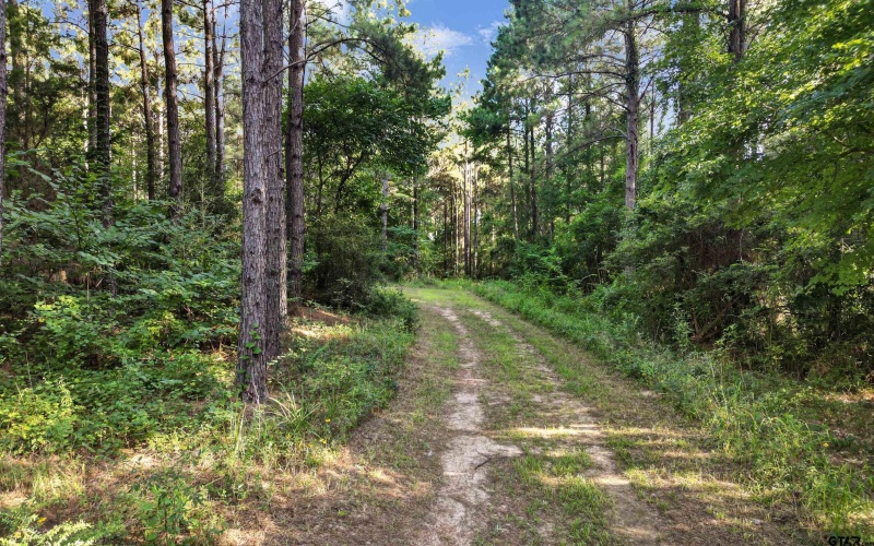 TBD 34.57 ACRES FM 2274, Troup, TX 75789, 1 Dormitorio Habitaciones , ,1 BañoBaños,Granja,En Venta,TBD 34.57 ACRES FM 2274,25010079