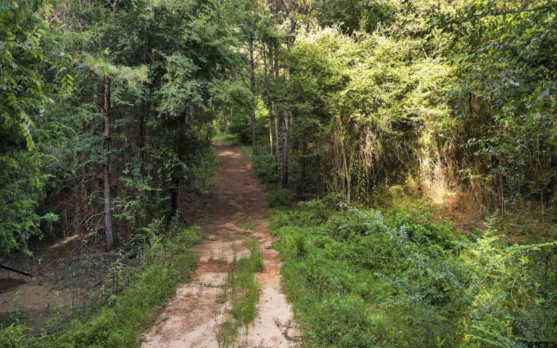 TBD 34.57 ACRES FM 2274, Troup, TX 75789, 1 Dormitorio Habitaciones , ,1 BañoBaños,Granja,En Venta,TBD 34.57 ACRES FM 2274,25010079