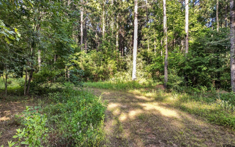 TBD 34.57 ACRES FM 2274, Troup, TX 75789, 1 Dormitorio Habitaciones , ,1 BañoBaños,Granja,En Venta,TBD 34.57 ACRES FM 2274,25010079