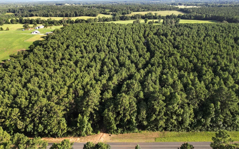 TBD 34.57 ACRES FM 2274, Troup, TX 75789, 1 Dormitorio Habitaciones , ,1 BañoBaños,Granja,En Venta,TBD 34.57 ACRES FM 2274,25010079