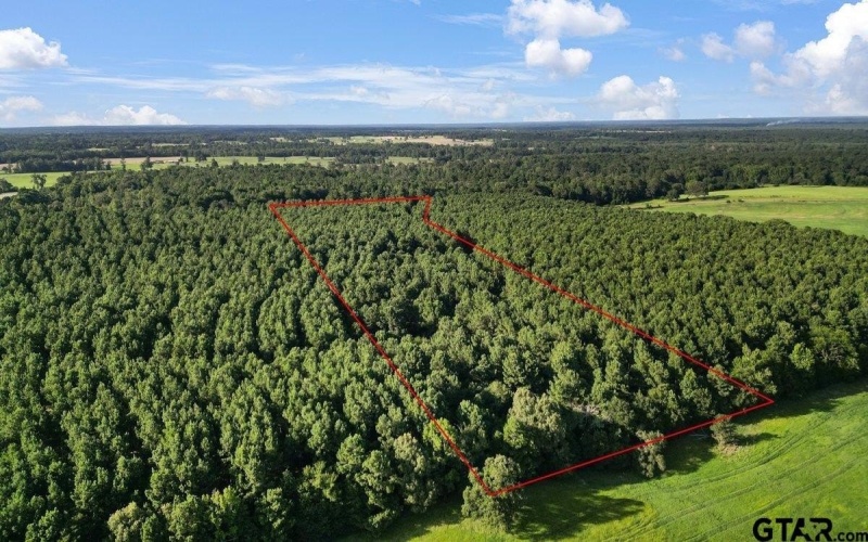 TBD 34.57 ACRES FM 2274, Troup, TX 75789, 1 Dormitorio Habitaciones , ,1 BañoBaños,Granja,En Venta,TBD 34.57 ACRES FM 2274,25010079