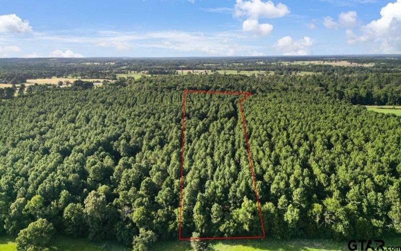 TBD 34.57 ACRES FM 2274, Troup, TX 75789, 1 Dormitorio Habitaciones , ,1 BañoBaños,Granja,En Venta,TBD 34.57 ACRES FM 2274,25010079