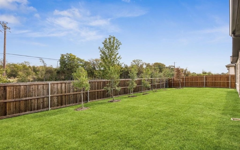 1866 Silver Birch Road, Waxahachie, TX 75165, 4 Bedrooms Bedrooms, ,3 BathroomsBathrooms,Residential,For Sale,1866 Silver Birch Road,0,20988807