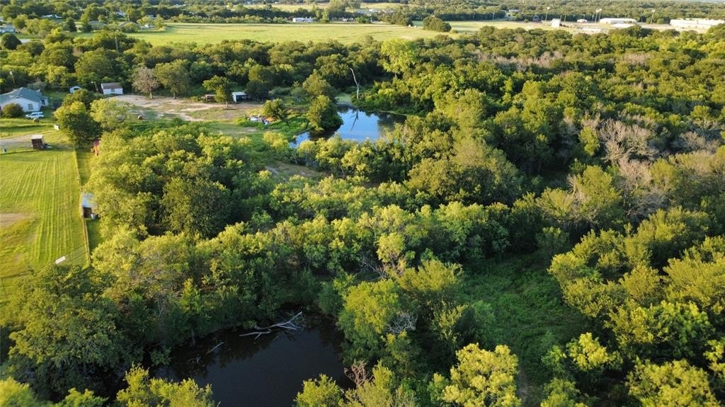 0000 S Fm Rd 113, Millsap, TX 76066, ,Land,For Sale,0000 S Fm Rd 113,20983545