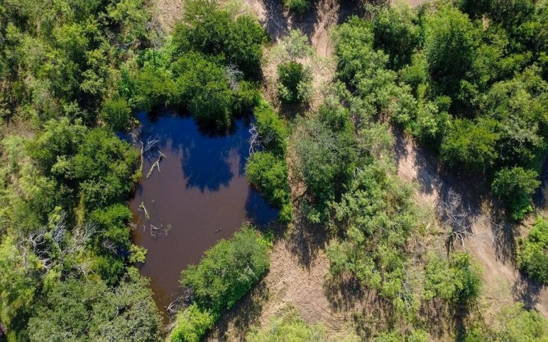 0000 S Fm Rd 113, Millsap, TX 76066, ,Land,For Sale,0000 S Fm Rd 113,20983545