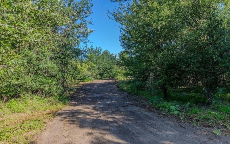 0000 S Fm Rd 113, Millsap, TX 76066, ,Land,For Sale,0000 S Fm Rd 113,20983545