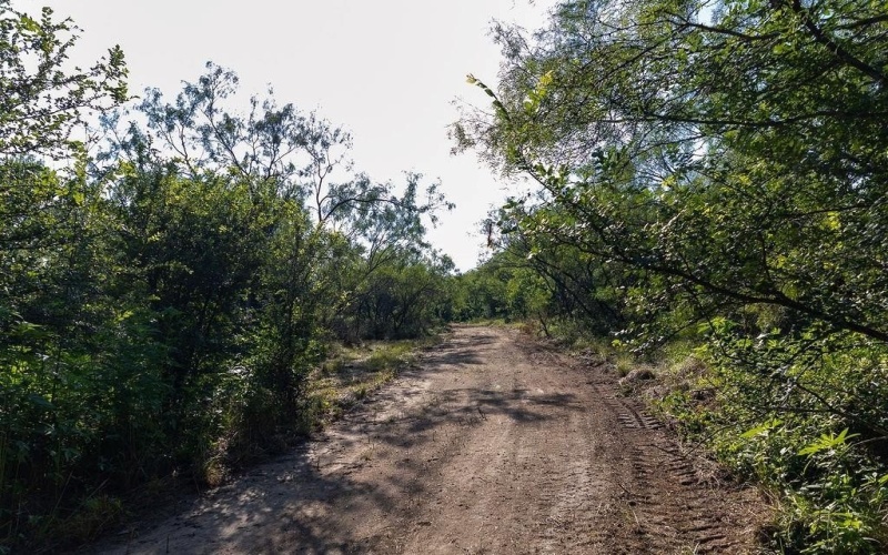 0000 S Fm Rd 113, Millsap, TX 76066, ,Land,For Sale,0000 S Fm Rd 113,20983545