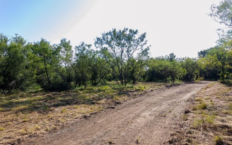 0000 S Fm Rd 113, Millsap, TX 76066, ,Land,For Sale,0000 S Fm Rd 113,20983545